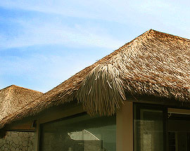 Virothatch, Java. Installation